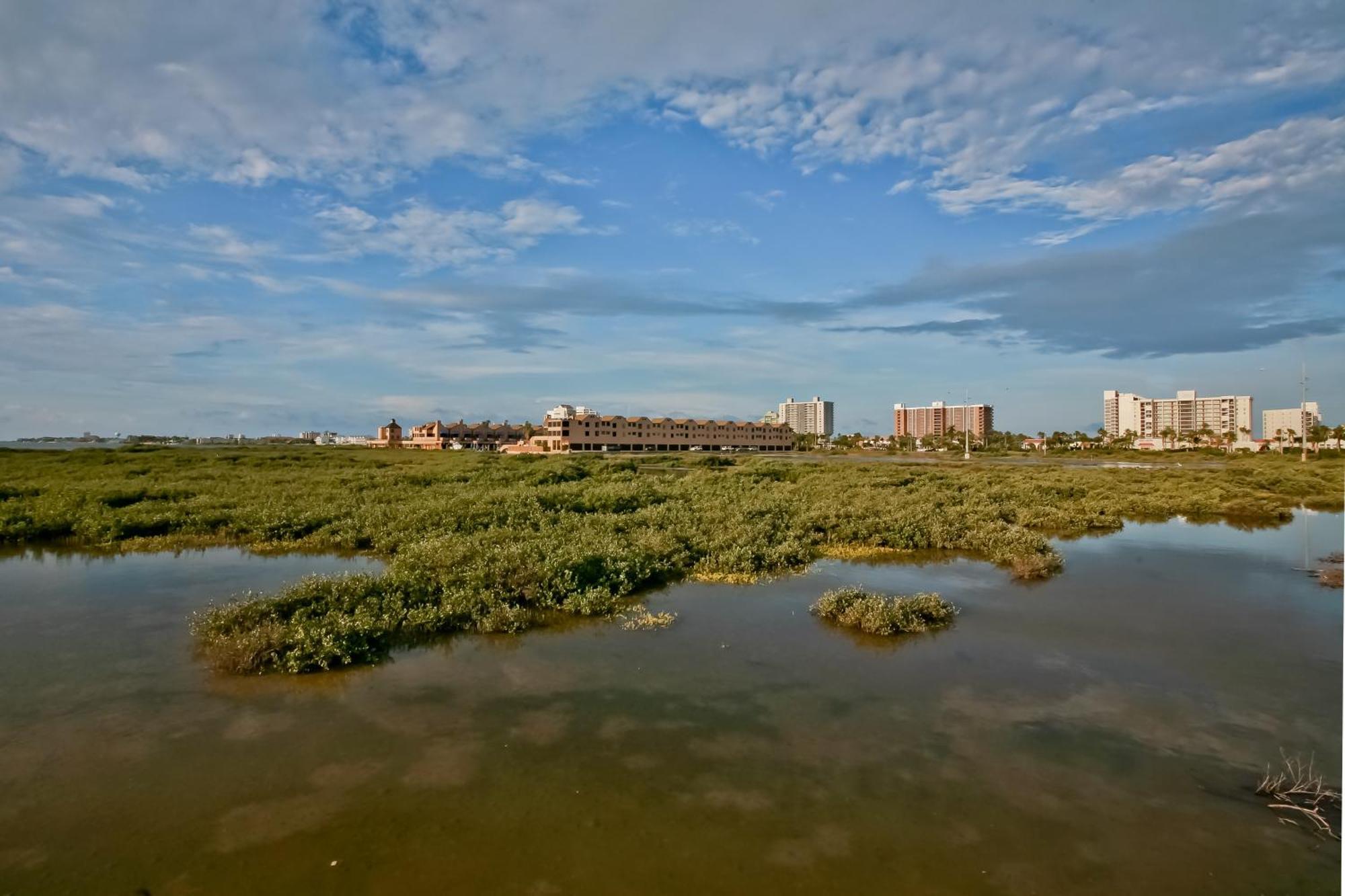 Suntide III Condominiums South Padre Island Zimmer foto